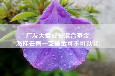 广发大盘成长混合基金(
怎样去看一支基金可不可以买) 广发大盘成长混合基金(
怎样去看一支基金可不可以买)