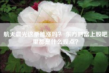 航天晨光这票能涨吗？ 东方财富上股吧里都是什么观点？