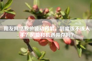 用友网络股价波动频繁，到底该不该入手？风险和机遇并存吗？