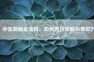 中签新股全流程：如何进行申购和缴款？