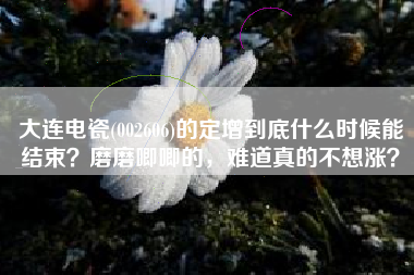 大连电瓷(002606)的定增到底什么时候能结束？磨磨唧唧的，难道真的不想涨？