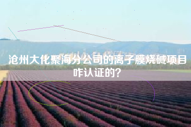 沧州大化聚海分公司的离子膜烧碱项目咋认证的？