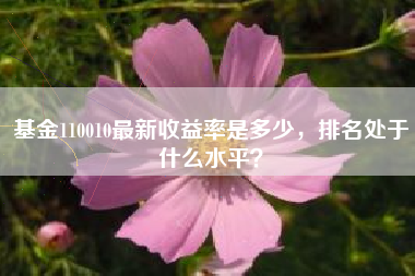 基金110010最新收益率是多少，排名处于什么水平？