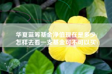 华夏蓝筹基金净值现在是多少(
怎样去看一支基金可不可以买)