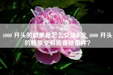 4000 开头的股票是怎么交易的?4000 开头的股票交易需要啥条件?