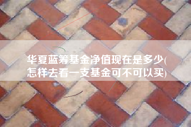 华夏蓝筹基金净值现在是多少(
怎样去看一支基金可不可以买)