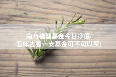 南方稳健基金今日净值(
怎样去看一支基金可不可以买)