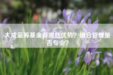 大成蓝筹基金有哪些优势?组合管理是否专业?
