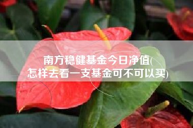 南方稳健基金今日净值(
怎样去看一支基金可不可以买)