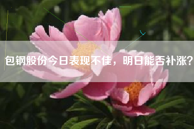 包钢股份今日表现不佳,明日能否补涨?