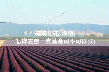 嘉实货币a净值(
怎样去看一支基金可不可以买)