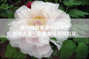 南方稳健基金今日净值(
怎样去看一支基金可不可以买)
