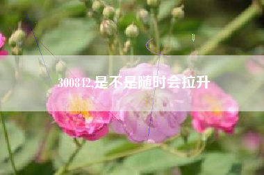 300842,是不是随时会拉升