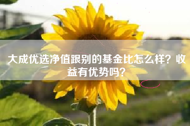 大成优选净值跟别的基金比怎么样？收益有优势吗？