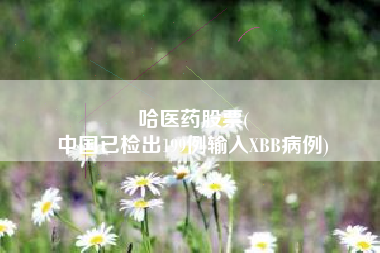 哈医药股票(
中国已检出199例输入XBB病例)