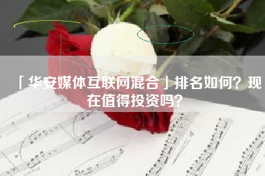 「华安媒体互联网混合」排名如何？现在值得投资吗？