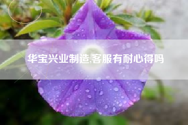 华宝兴业制造,客服有耐心得吗