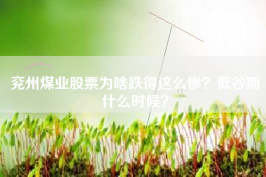 兖州煤业股票为啥跌得这么惨？低谷期什么时候？