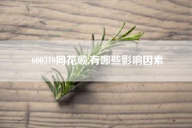 600310同花顺,有哪些影响因素