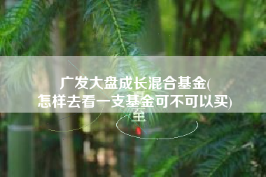 广发大盘成长混合基金(
怎样去看一支基金可不可以买) 广发大盘成长混合基金(
怎样去看一支基金可不可以买)