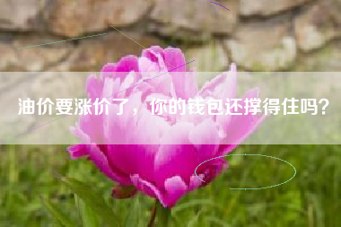 油价要涨价了，你的钱包还撑得住吗？