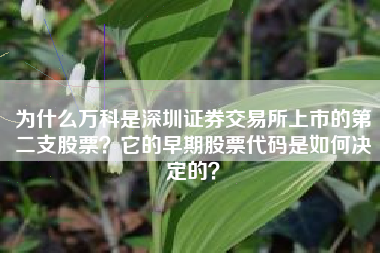 为什么万科是深圳证券交易所上市的第二支股票？它的早期股票代码是如何决定的？