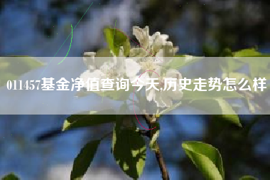 011457基金净值查询今天,历史走势怎么样