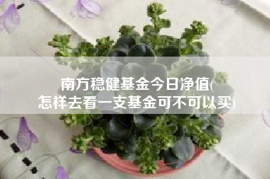 南方稳健基金今日净值(
怎样去看一支基金可不可以买)