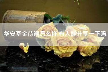华安基金待遇怎么样,有人能分享一下吗