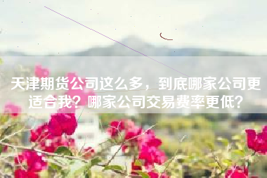 天津期货公司这么多，到底哪家公司更适合我？哪家公司交易费率更低？