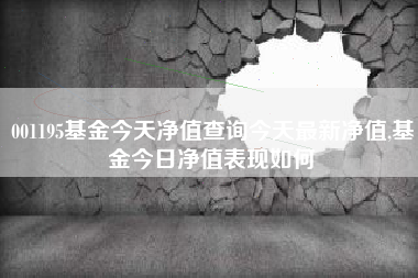 001195基金今天净值查询今天最新净值,基金今日净值表现如何
