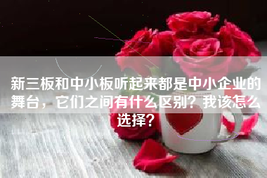 新三板和中小板听起来都是中小企业的舞台，它们之间有什么区别？我该怎么选择？