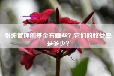 张坤管理的基金有哪些？它们的收益率是多少？