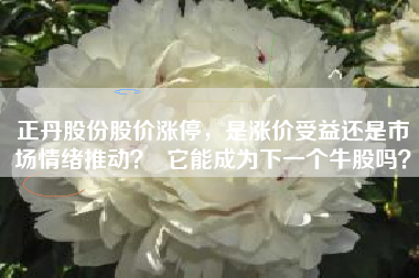 正丹股份股价涨停，是涨价受益还是市场情绪推动？  它能成为下一个牛股吗？