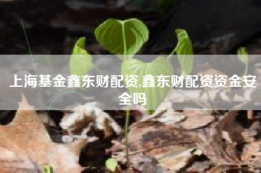 上海基金鑫东财配资,鑫东财配资资金安全吗