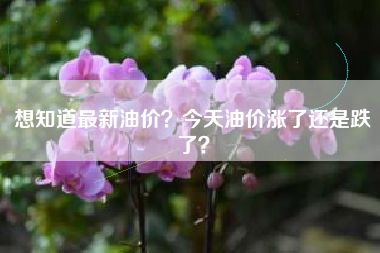 想知道最新油价？今天油价涨了还是跌了？