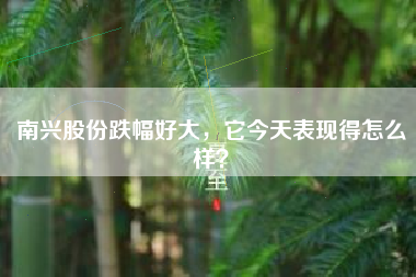 南兴股份跌幅好大，它今天表现得怎么样？