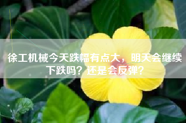 徐工机械今天跌幅有点大，明天会继续下跌吗？还是会反弹？