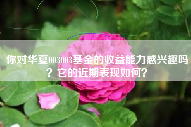 你对华夏003003基金的收益能力感兴趣吗？它的近期表现如何？