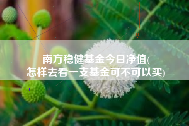 南方稳健基金今日净值(
怎样去看一支基金可不可以买)