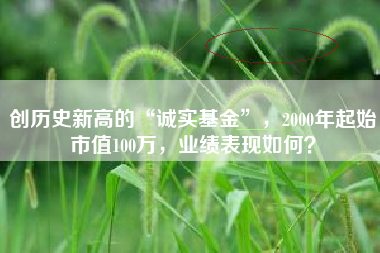 创历史新高的“诚实基金”，2000年起始市值100万，业绩表现如何？