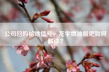公司回购给啥信号，龙宇燃油股吧如何解读？
