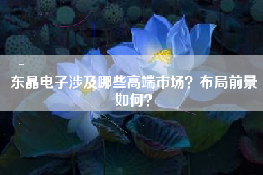 东晶电子涉及哪些高端市场？布局前景如何？