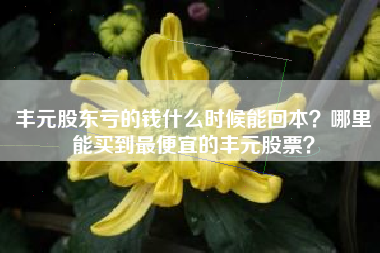 丰元股东亏的钱什么时候能回本？哪里能买到最便宜的丰元股票？
