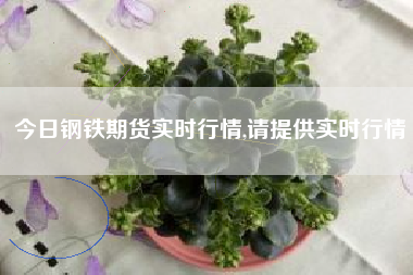 今日钢铁期货实时行情,请提供实时行情