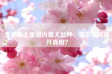 五矿稀土重组内幕大公开：幕后布局揭开真相？