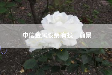 中信金属股票,有投資前景嗎