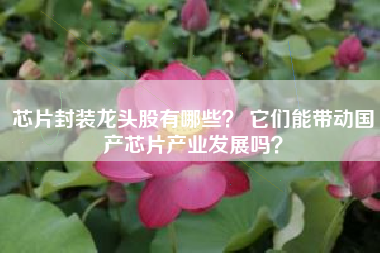 芯片封装龙头股有哪些？ 它们能带动国产芯片产业发展吗？