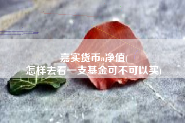 嘉实货币a净值(
怎样去看一支基金可不可以买)