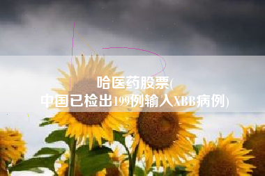 哈医药股票(
中国已检出199例输入XBB病例)